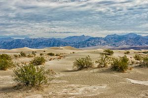 Die wunderschöne Wüste des Death Valley in Kalifornien