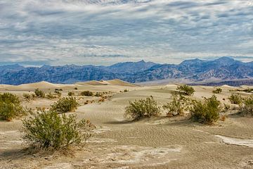Le magnifique désert de la Vallée de la Mort en Californie sur Patricia Hofmeester