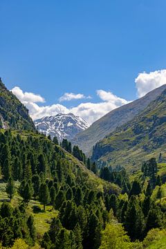 Ventraal uitzicht in de Tiroler Alpen in Austira tijdens de lente van Sjoerd van der Wal Fotografie