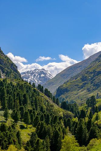 Ventraal uitzicht in de Tiroler Alpen in Austira tijdens de lente