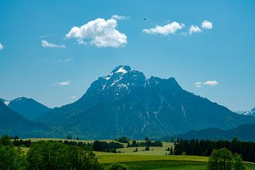 Blick auf den Säuling von Leo Schindzielorz