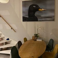 Photo de nos clients: Le grand canard de mer de près par Beschermingswerk voor aan uw muur, sur art frame