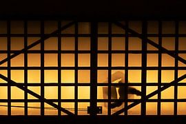 Silhouette on a glass walkway