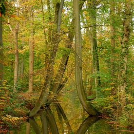 Oelerbeek von Leon Fotografie