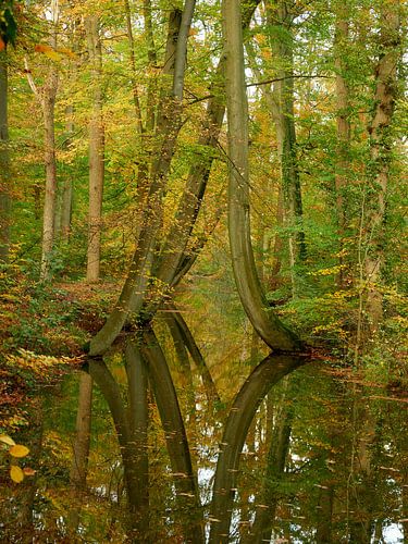 Oelerbeek sur Leon Fotografie