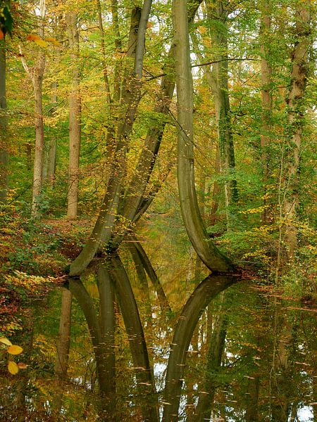 Oelerbeek von Leon Fotografie