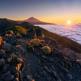Above the clouds (Tenerife) by Niko Kersting