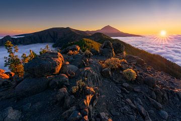 Above the clouds (Tenerife) by Niko Kersting