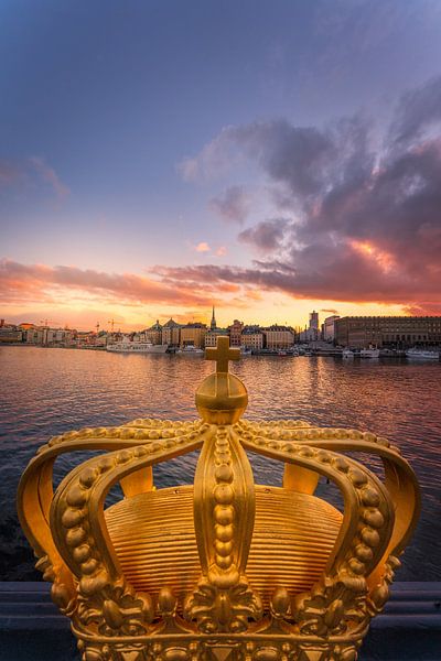 Stockholm King by Iman Azizi