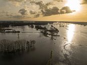 Vecht overstroming bij Zwolle van boven gezien van Sjoerd van der Wal Fotografie thumbnail