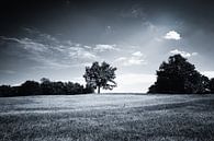 Heuvelachtig Zwart Wit Landschap van Jan Brons thumbnail