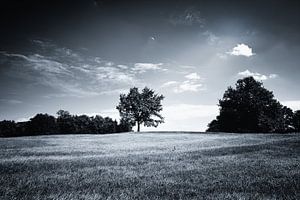 Heuvelachtig Zwart Wit Landschap