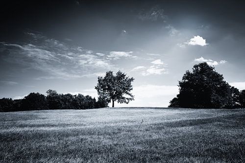 Heuvelachtig Zwart Wit Landschap