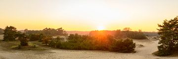 Herfst zonsondergang op het Hulshorsterzand op de Veluwe van Sjoerd van der Wal Fotografie