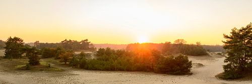Herfst zonsondergang op het Hulshorsterzand op de Veluwe