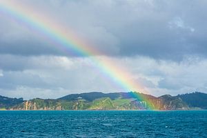 Bay of Islands Regenbogen von Ronne Vinkx