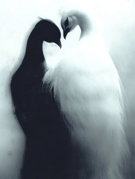 Love knows no boundaries by Franka Poulain