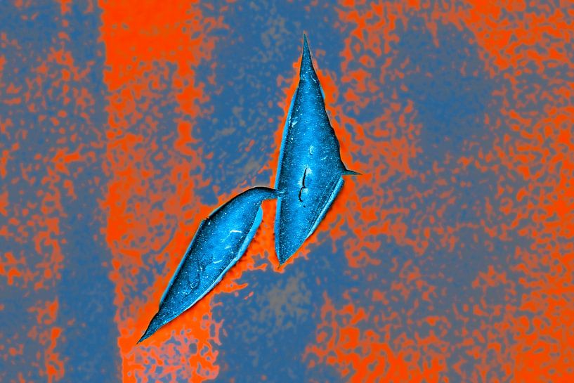 Blaue Vögel von MientjeBerkersPhotography