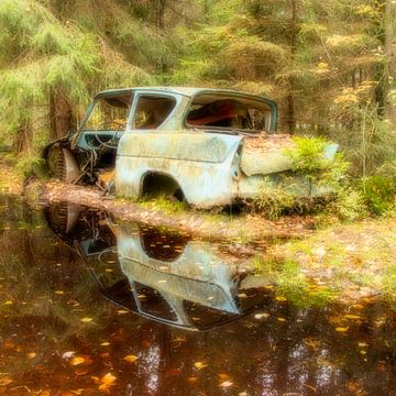 Autowrak in het bos met weerspiegeling in het water van Connie de Graaf