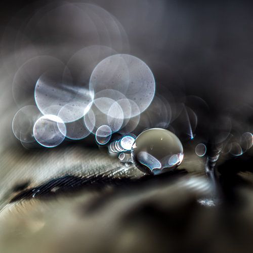 Macro van een druppel op een veertje