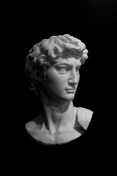 Michelangelo's David: Een Iconisch Meesterwerk in Zwart-Wit van I love you David