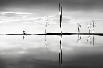 Bare trees and man with dog SWc