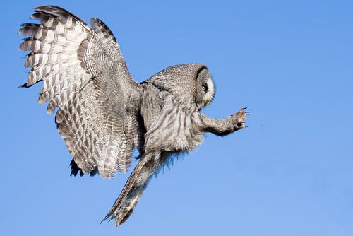 Landung in 3, 2, ....