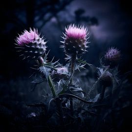 Blumenzauber von Karina Brouwer