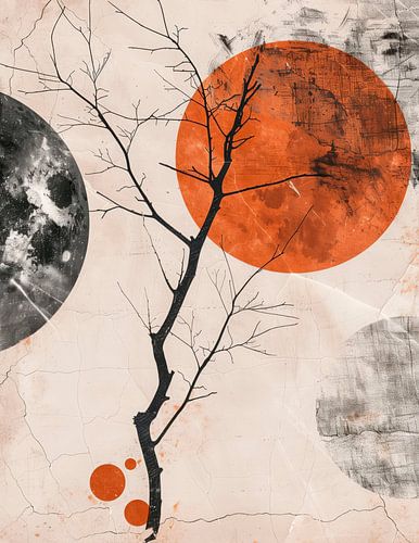 Between sun and moon a silent tension between lines and circles