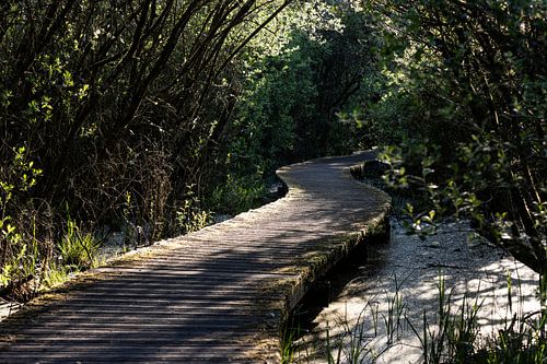 Mystique Marais : Une nouvelle orientation