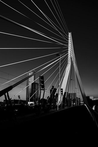 Erasumse brug rotterdam in zwart-wit