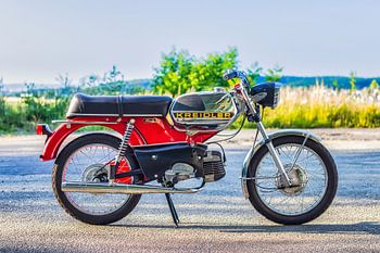 Kreidler Florett RS
