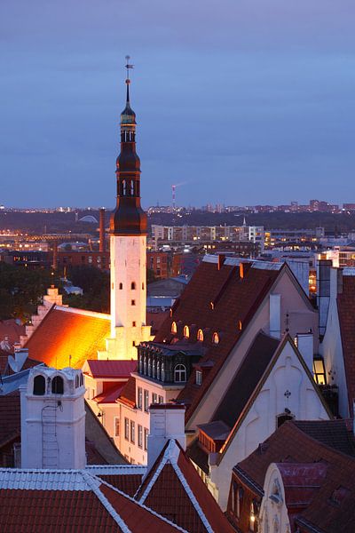 Vue de la colline de la cathédrale vers la ville basse, vieille ville avec l'église du Saint-Esprit  par Torsten Krüger