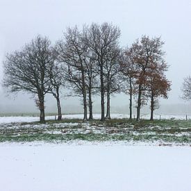 Winterlandschaft von Saskia Veenstra