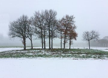 Winterlandschaft von Saskia Veenstra