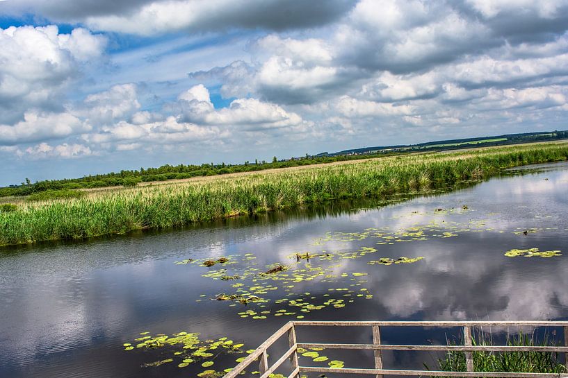 Bad Buchau : Der Federsee von Photoart-Naegele