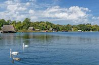 Idylle in het Nationaal Park Müritz van Peter Eckert thumbnail