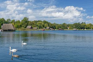 Idyll im Müritz Nationalpark