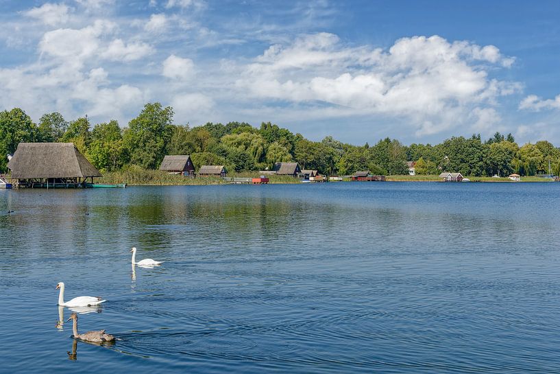 Idylle in het Nationaal Park Müritz van Peter Eckert