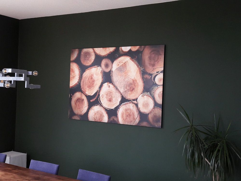 Entwaldung von Jan van der Knaap