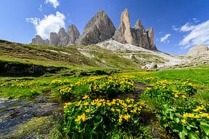 Die Zinnen der Drei Zinnen in den Dolomiten