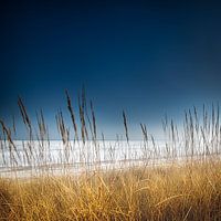 Strand mit Dünen an der Ostsee bei Scharbeutz