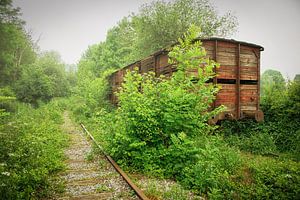 Abandon d'un wagon de chemin de fer entre deux végétations sur Thomas Boelaars