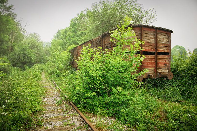 Abandon d'un wagon de chemin de fer entre deux végétations par Thomas Boelaars