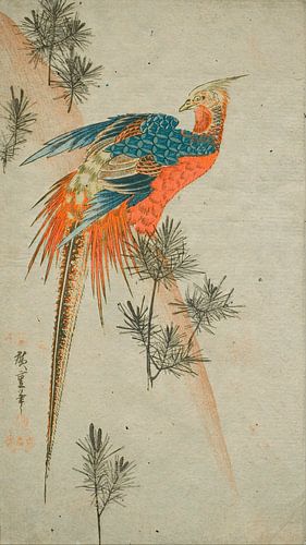 Japanischer Holzschnitt: Goldfasan zwischen Tannenzweigen im Vintage-Ukiyo-e-Stil von Studio Pieternel