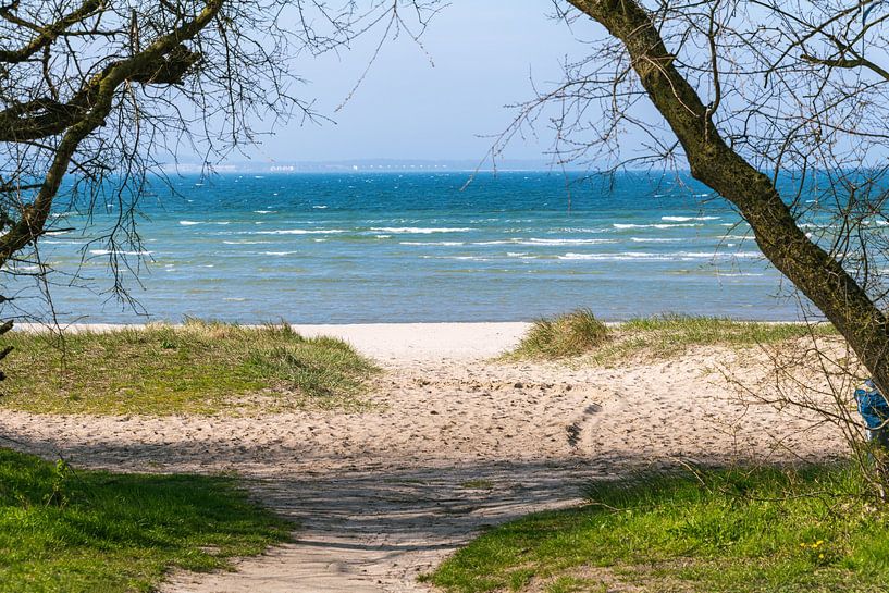 Strand bij de Wohlenberger Wiek van Peter Baier