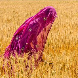 Harvest time in India by Gonnie van de Schans