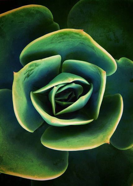 DARKSIDE OF SUCCULENTS XIII-B par Pia Schneider