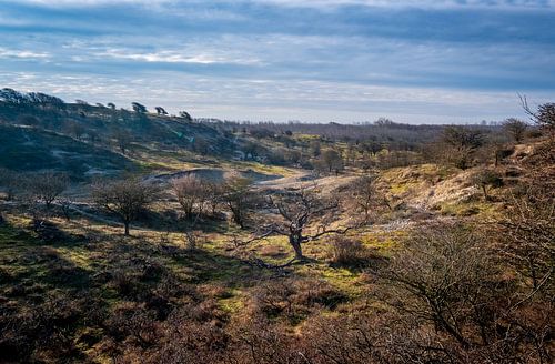Dunes d'approvisionnement en eau d'Amsterdam