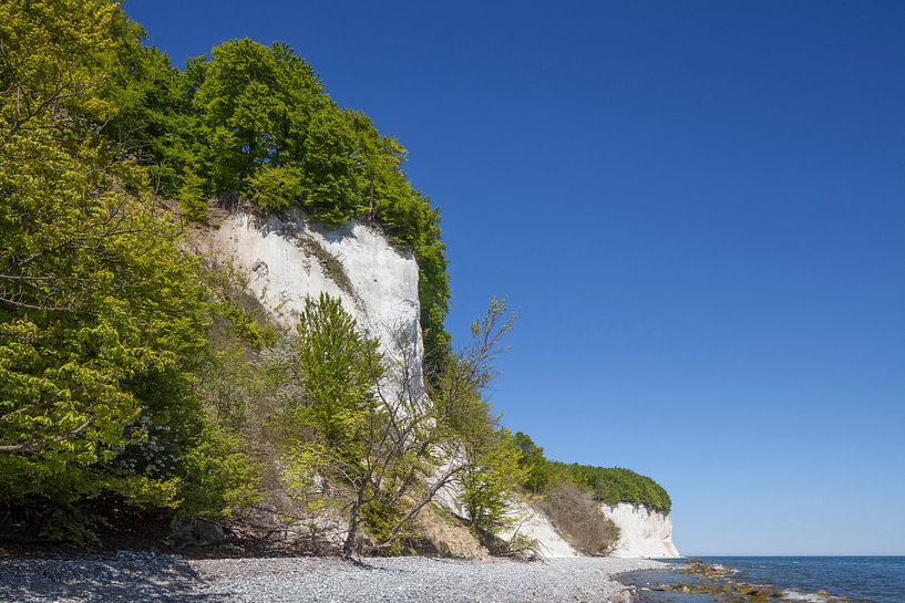 Chalk Coast, Beach , Jasmund National Park, Sassnitz, R�gen Island, Mecklenburg-Western Pomerania, G by Torsten Krüger